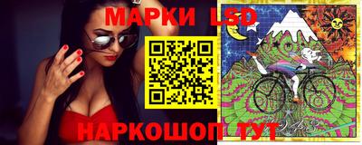 гашик Ирбит