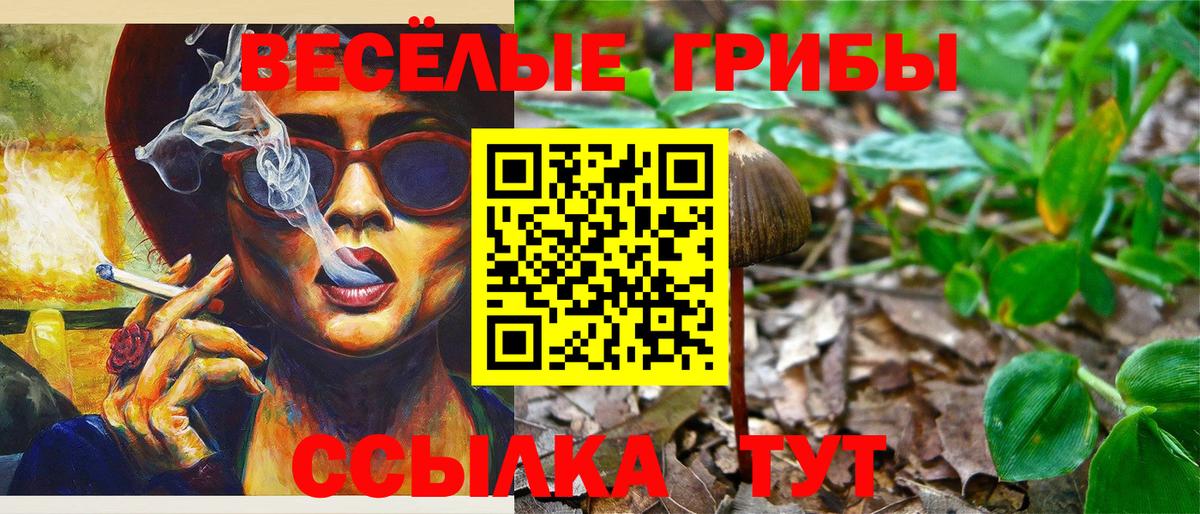 Псилоцибиновые грибы Psilocybine cubensis Вольск