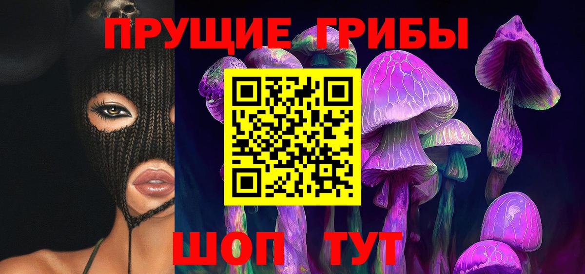Вольск  Псилоцибиновые грибы Magic Shrooms  Псилоцибиновые грибы GOLDEN TEACHER  Вход с VPN 
